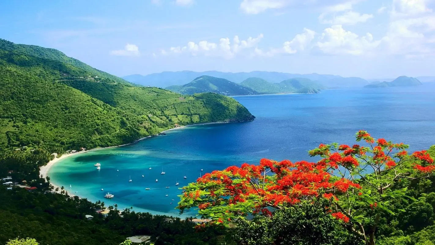 稳定性高性能高精度